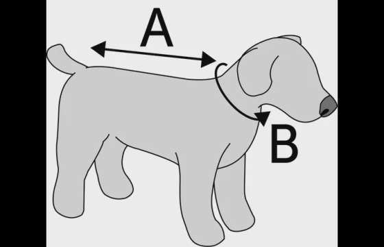 Veiligheidsvest Fizz Oranje & Grijs Large