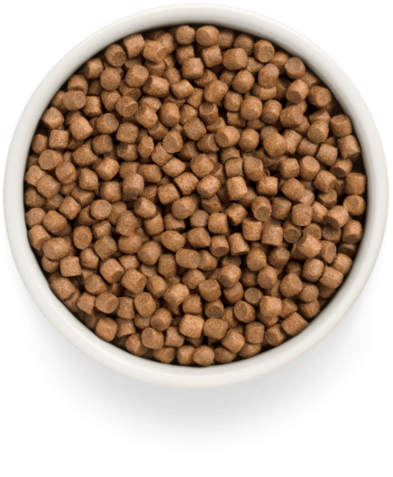 GF-Dog - Fresh Lamb - Puppy All Breeds - 3 Kg