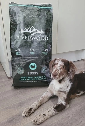 Riverwood Puppy Turkey 12 kg