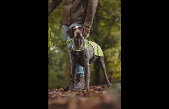 HONDENVEST FLUO 50 CM - HOND 60 CM