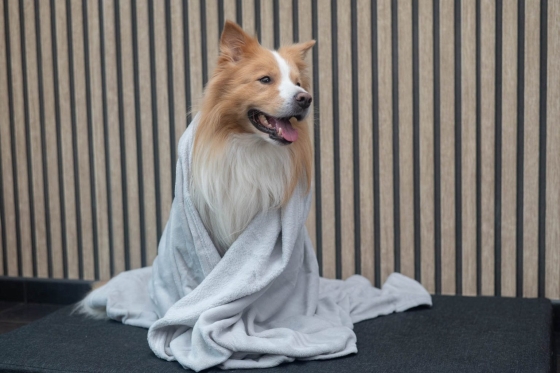 JV Cocoon deken grijs- 130cmx170cm