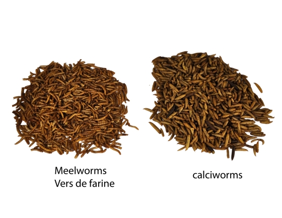 Meelwormen 300g