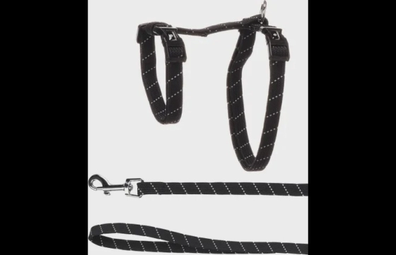 Harnas met looplijn Grote katten Elza Zwart