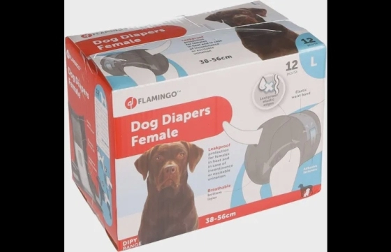 Luier Vrouwelijk Dipy Zwart L