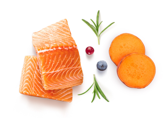 GF-Cat - Fresh Salmon - Adult Sterilized - 400g