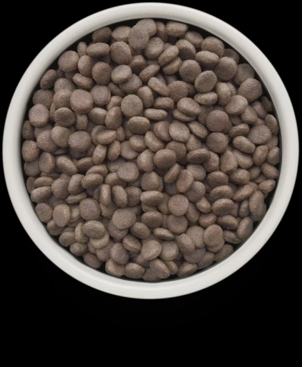 GV-Dog - Turkey - Renal - 1KG