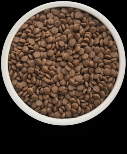 GF-Cat - Fresh Duck - Adult Sterilized - 2Kg