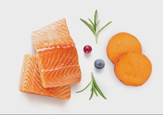 GF-Cat - Fresh Salmon - Adult Sterilized - 2Kg