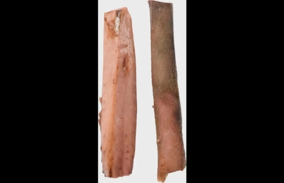 Hapki Gekookt met tonijn