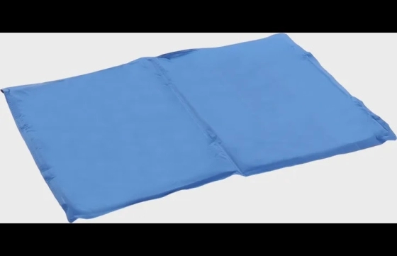 Koelmat Frosty Rechthoekig Blauw M