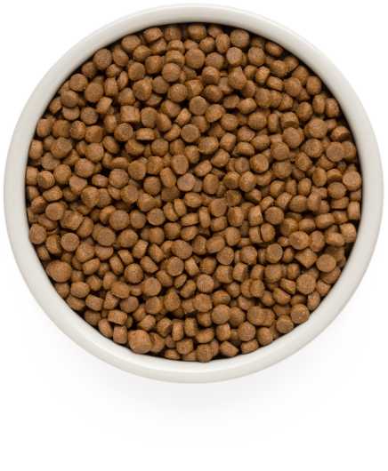 GD-Dog - Lamb & Turkey - Puppy - 3 Kg