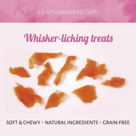 Cat Treats Shredded Kip 50g