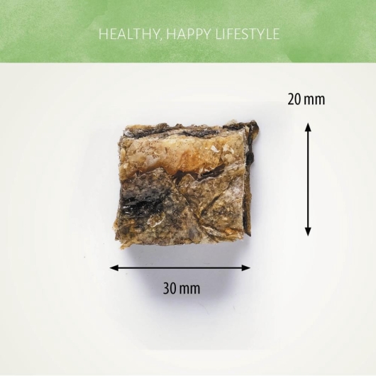 Fish D'light Squares 100 gr