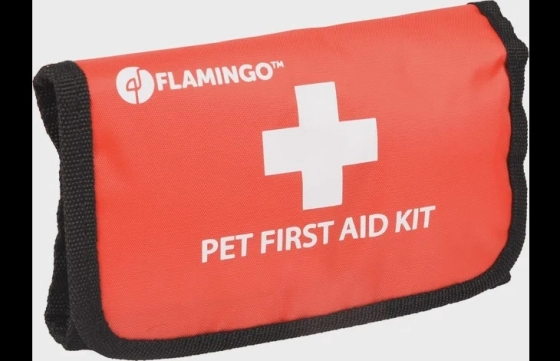 EHBO-kit Resku Basis