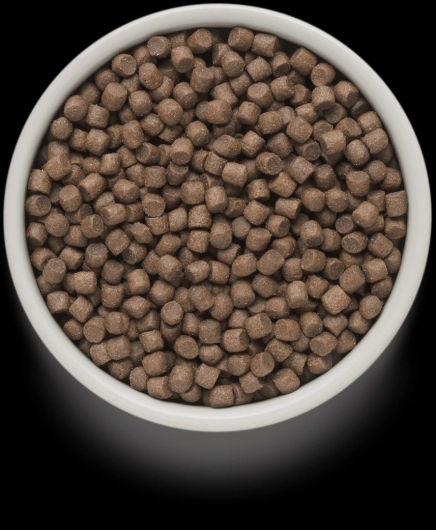 GD-Dog - 4 Meat - Adult Mini Breeds - 8 Kg