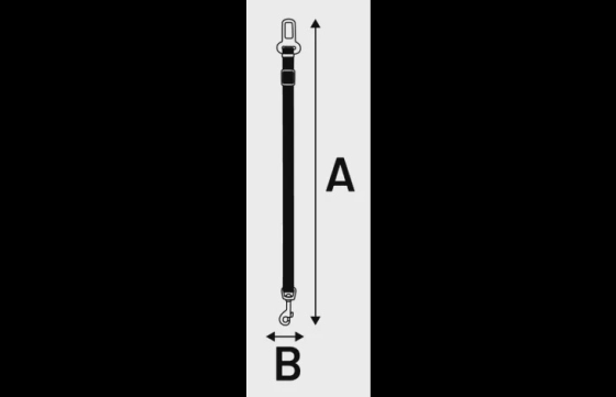 Autoveiligheidsgordel Sarge Zwart Small