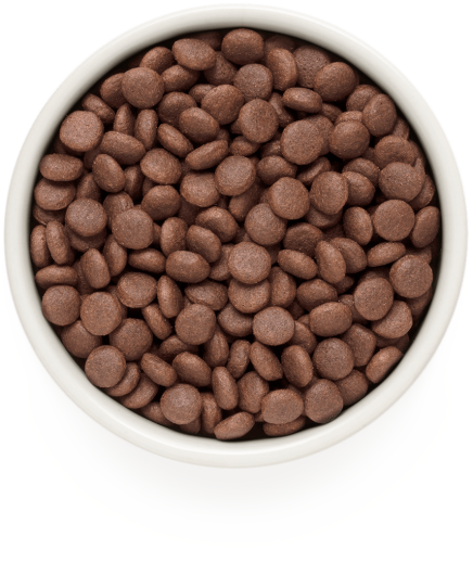 GD-Dog - Lamb & Turkey - Adult Medium & Maxi Breeds - 1 Kg