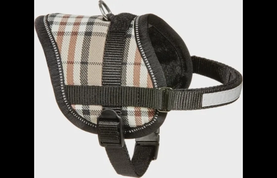 Harnas Eeny Meeny Beige XS