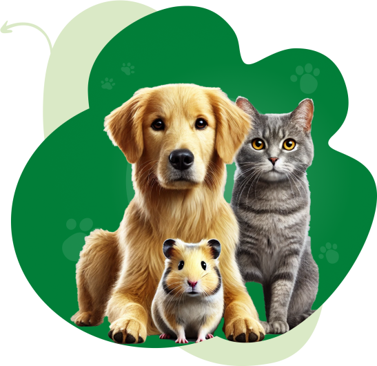 SOLICON TEST PRODUCT