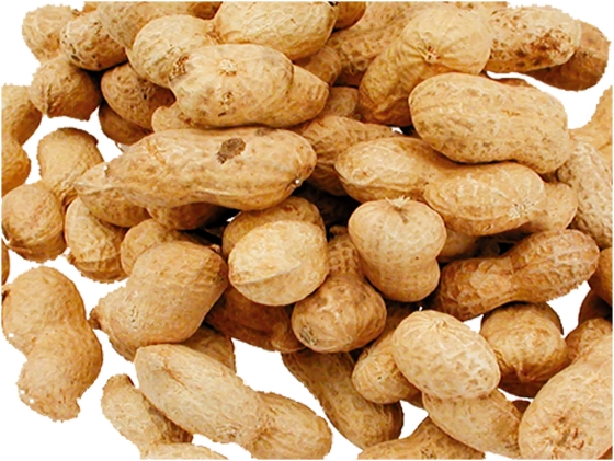 Arachiden ongepeld 300 gr