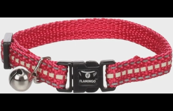 Halsband voor kittens Jinxy Koraalrood