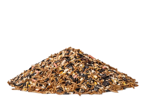 Insect & Fruit Mix 1,1 kg