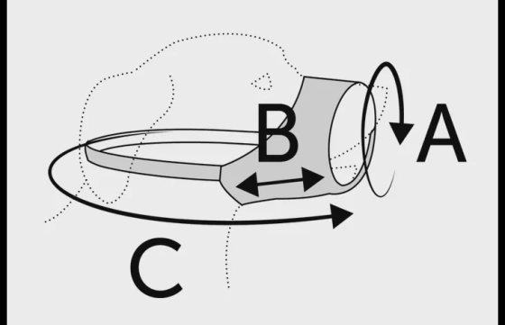 Muilband Rolo Zwart S