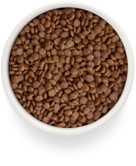 GF-Cat - Fresh Salmon - Adult - 400g