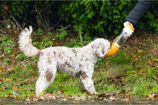 BZ SILIC DRINKFLES H NEL ASS  600ML