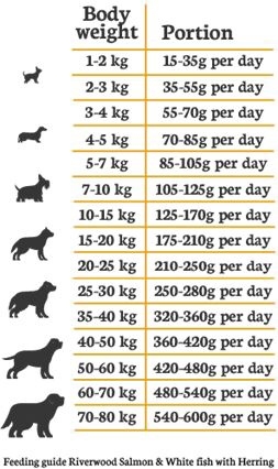 Riverwood Adult Scottish Salmon 2 kg