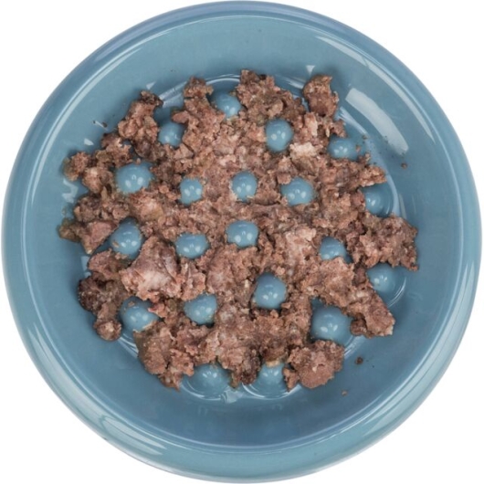 Slow Feeding Keramiekbak