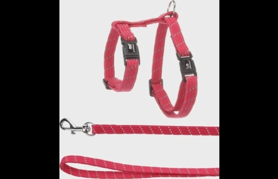 Harnas met looplijn voor kittens Elza Koraalrood