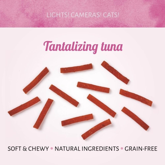 Cat Treats Tempting Tonijn 50g