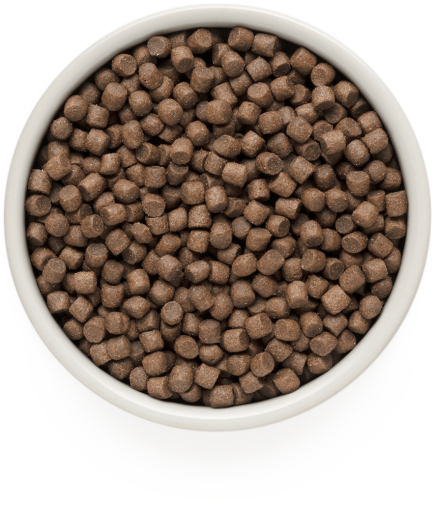 GD-Dog - 4 Meat - Adult Mini Breeds - 3 Kg