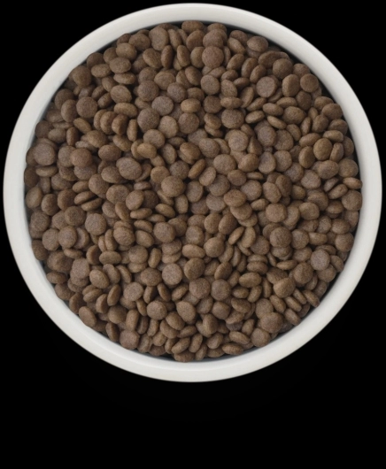 GF-Cat - Fresh Lamb - Adult Large - 2Kg