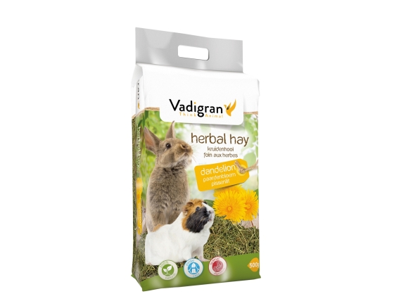 Kruidenhooi paardenbloem 500 gr