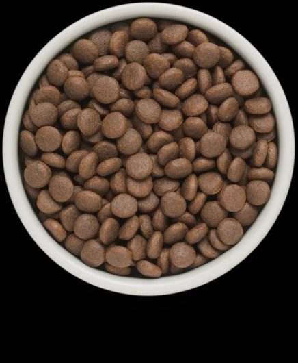 GF-Dog - Fresh Lamb - Junior Medium & Maxi Breeds - 1 Kg