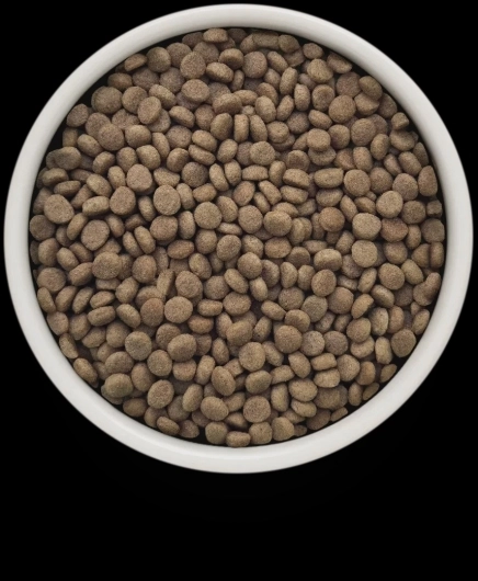 GV-Cat - Turkey - Gastrointestinal Low Fat - 400g