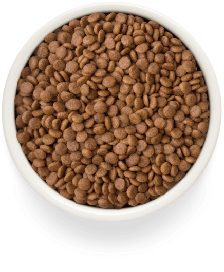 GF-Cat  - Fresh Duck - Adult - 2Kg