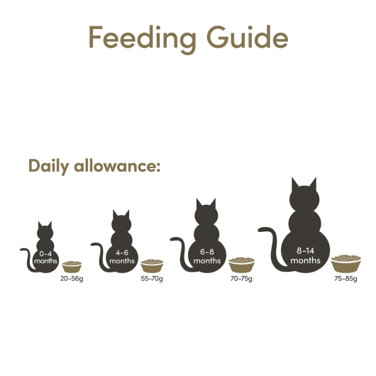 APPLAWS KITTEN BROKJES 2 KG.