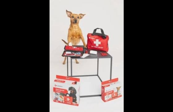 EHBO-kit Resku Basis