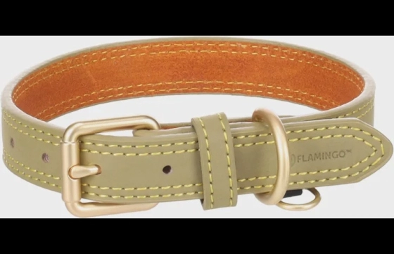 Halsband Virginia Groen S/M 31-39cm