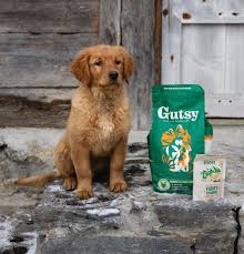 Chicken & Insect Puppy 2kg