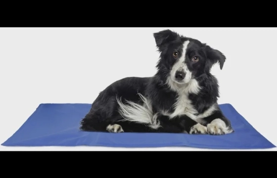 Koelmat Fresk Rechthoekig Blauw L