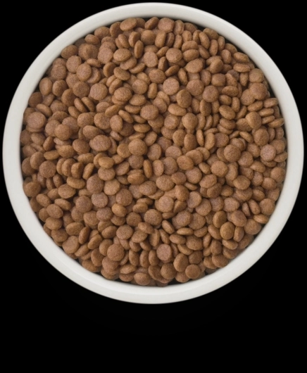 GF-Cat - Fresh Duck - Adult - 400g