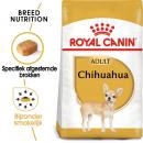 RC Chihuahua 500g