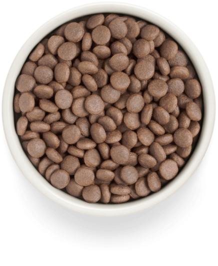 GF-Dog - Fresh Turkey - Adult Medium & Maxi Breeds - 3 Kg