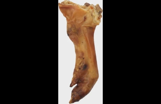 Nature Varkenspoot half