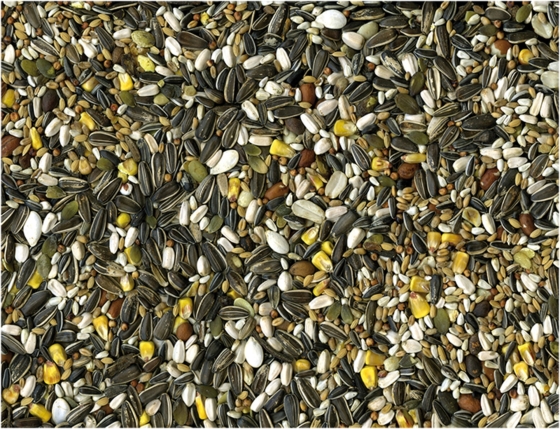 Papegaaien Original 650 gr