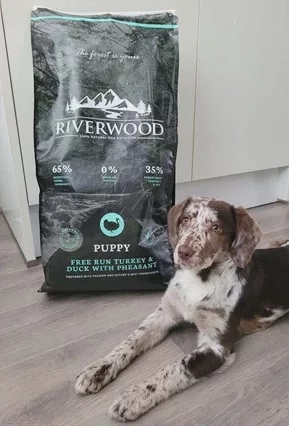 Riverwood Puppy Turkey 2 kg